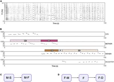 Parent-offspring turn-taking dynamics influence parents’ song structure and elaboration in a singing primate